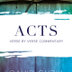 Acts Commentary - Guzik