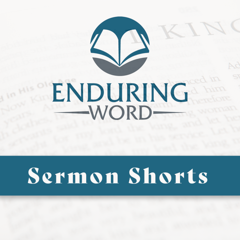 The Son Sets Free from Sin