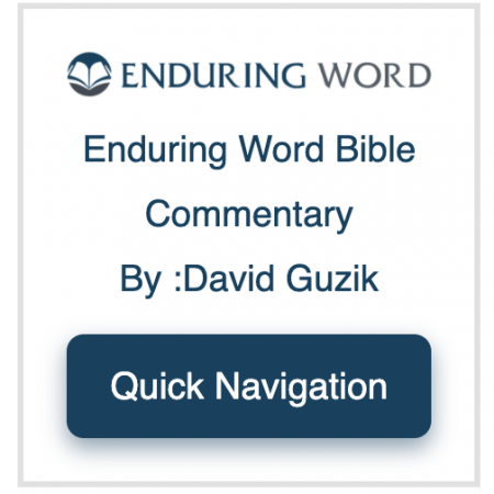 Enduring Word Bible Commentary Quick Navigation Plug-In - David Guzik