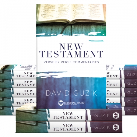 Whole New Testament