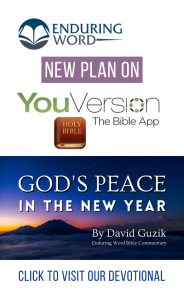 God's Peace New Year Enduring Word YouVersion