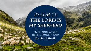 Psalm 23 YouVersion Enduring Word
