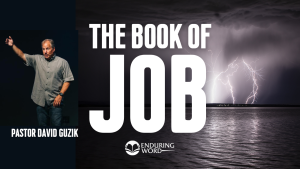 Book of Job by David Guzik