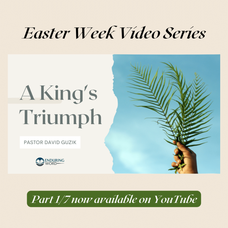 A King's Triumph by David Guzik