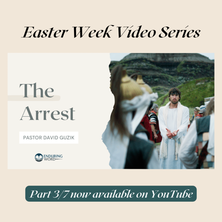 The Arrest by David Guzik