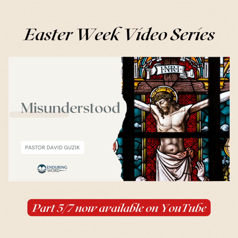 Misunderstood by David Guzik