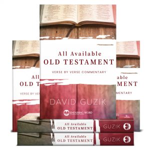 All Available Old Testament Commentary