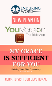 YouVersion My Grace is Sufficient for You Enduring Word
