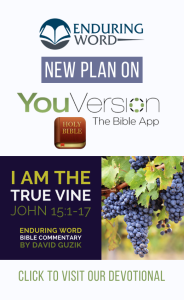 Reading plan for YouVersion Bible App, "I am the Vine"