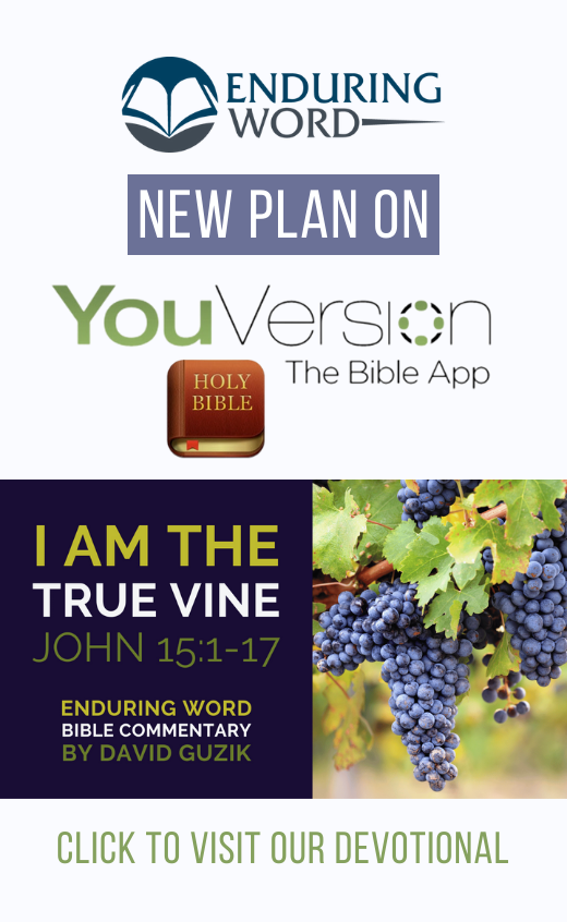 I am the Vine YouVersion Reading Plan