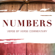 Book Cover of the book of Numbers