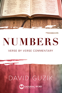 Book Cover of the book of Numbers