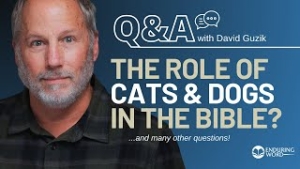 How Are Dogs & Cats Depicted in the Bible? Weekly Q&A for November 7, 2024