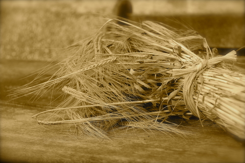 A Big Harvest with Few Workers